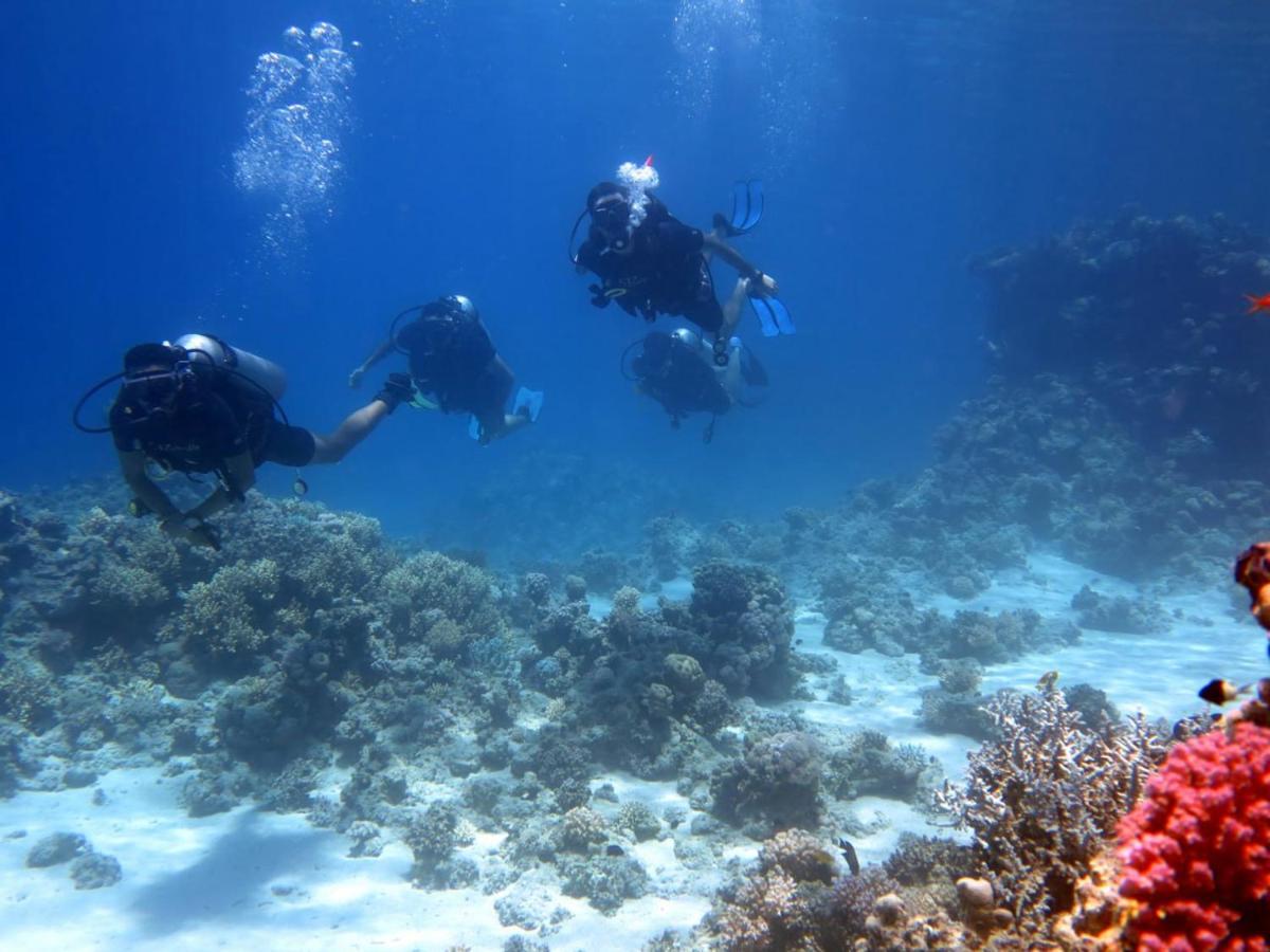 Sharks Bay Oasis Resort & Butterfly Diving Center Sharm el-Sheikh Exterior photo