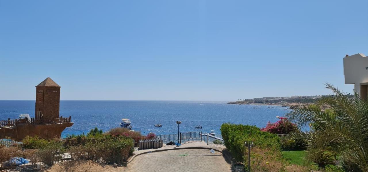 Sharks Bay Oasis Resort & Butterfly Diving Center Sharm el-Sheikh Exterior photo