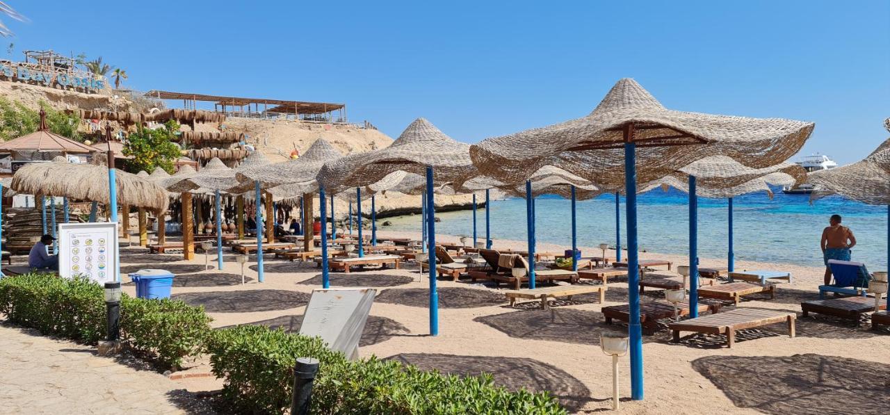 Sharks Bay Oasis Resort & Butterfly Diving Center Sharm el-Sheikh Exterior photo