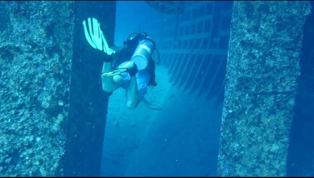 Sharks Bay Oasis Resort & Butterfly Diving Center Sharm el-Sheikh Exterior photo