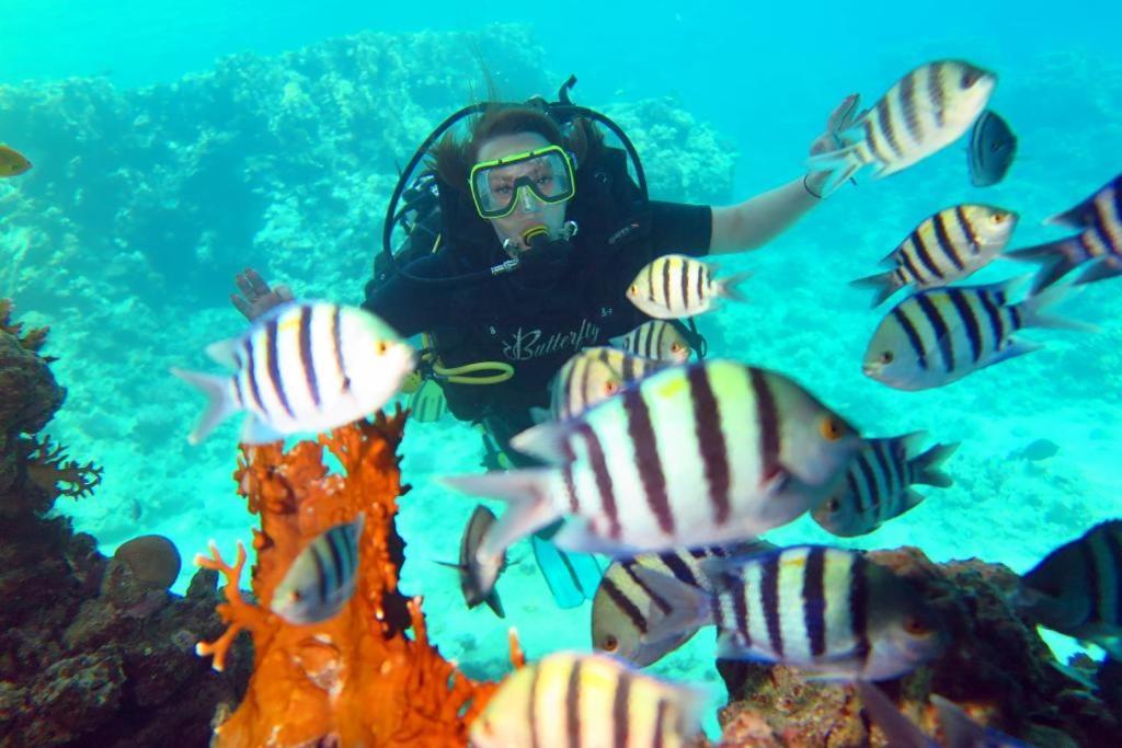 Sharks Bay Oasis Resort & Butterfly Diving Center Sharm el-Sheikh Exterior photo